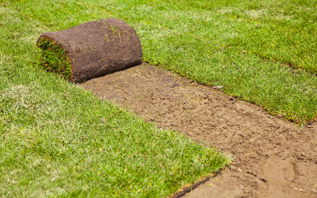 What Does Grass Cost?